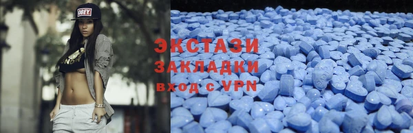 шишки Надым