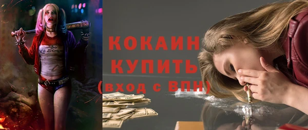 шишки Надым