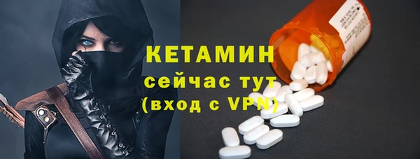 шишки Надым