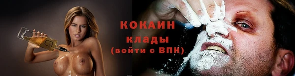 шишки Надым