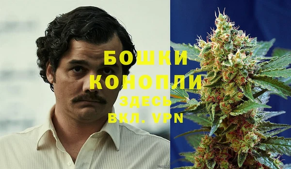 шишки Надым