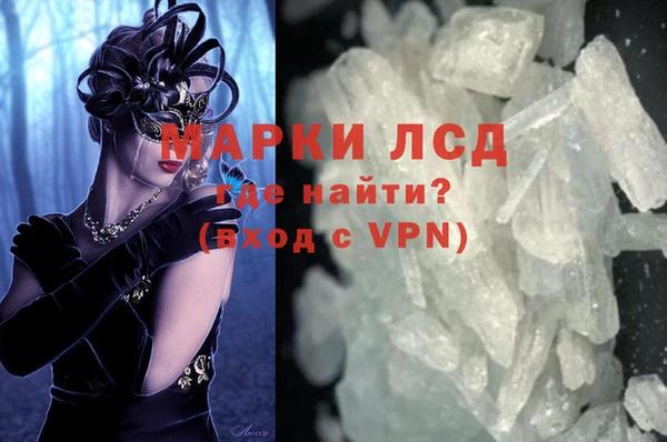 шишки Надым