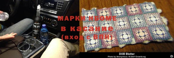 шишки Надым
