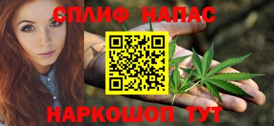 МДПВ Бийск