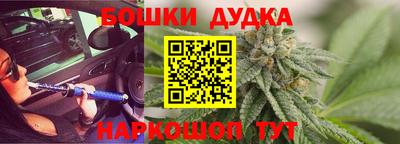 МДПВ Бийск