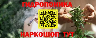 МДПВ Бийск
