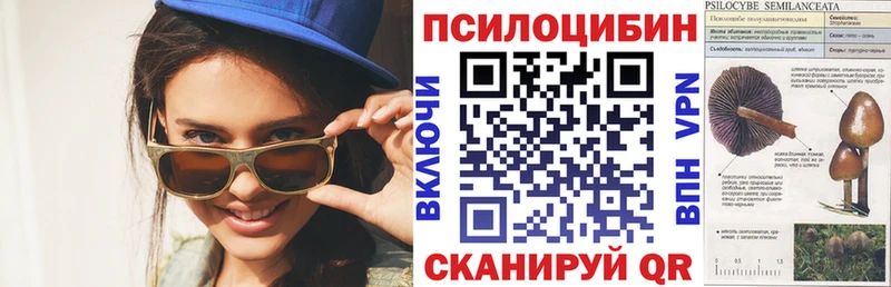 гидра зеркало Корсаков Псилоцибиновые грибы ЛСД