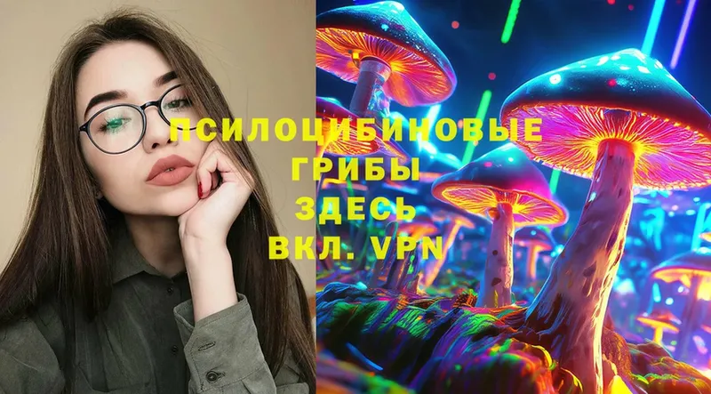 ссылка на мегу зеркало  Корсаков  Псилоцибиновые грибы Psilocybine cubensis 