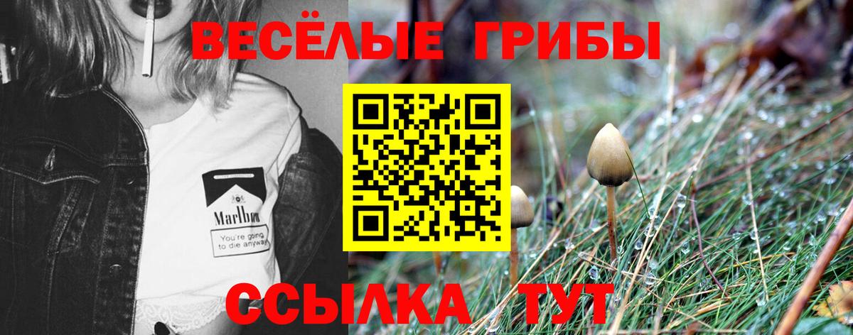 Галлюциногенные грибы мухоморы Корсаков