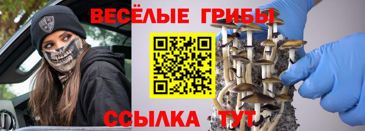 Галлюциногенные грибы Psilocybine cubensis  Корсаков 