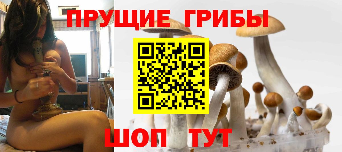 наркотики  Галлюциногенные грибы Cubensis  Вход с VPN  Корсаков 