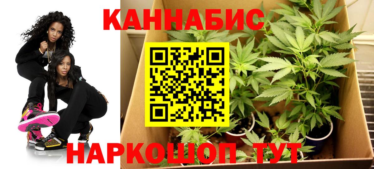 Конопля Amnesia  Вход с VPN  Корсаков  Шишки марихуана Amnesia  Бошки марихуана OG Kush 